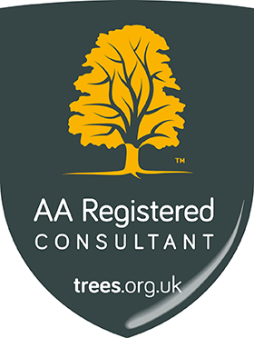 AA Registered Consultant logo