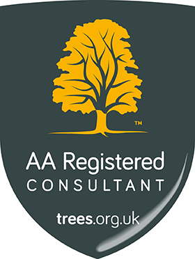 AA Shield logo